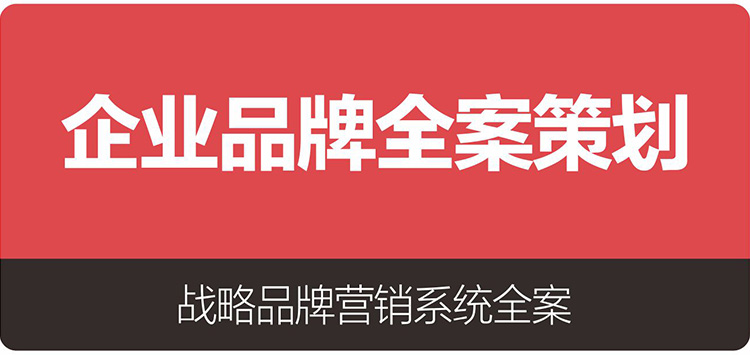 企业品牌全案策划